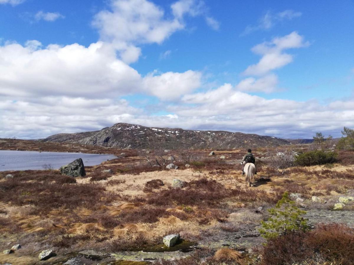 Hotell Eikerapen Gjestegard Aseral Fossdal Bagian luar foto