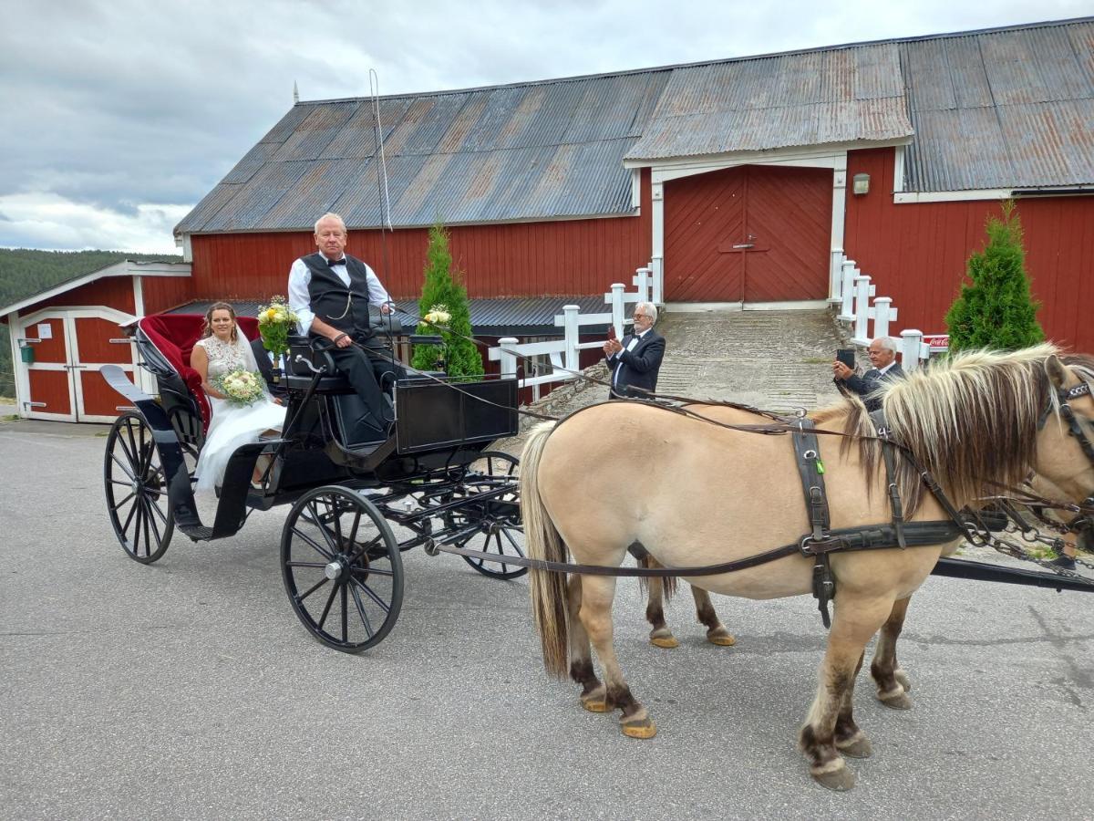 Hotell Eikerapen Gjestegard Aseral Fossdal Bagian luar foto