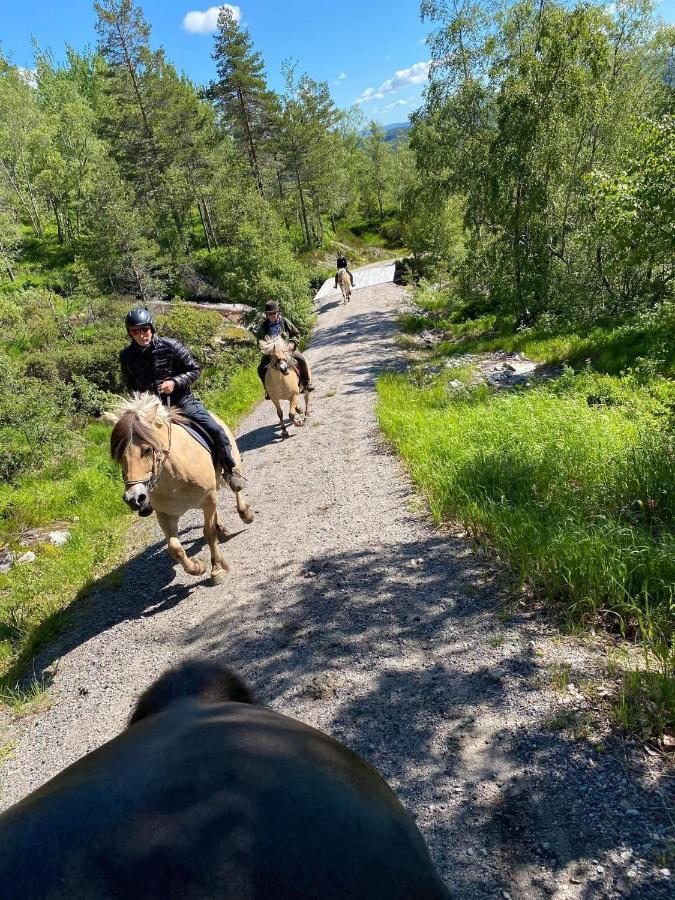 Hotell Eikerapen Gjestegard Aseral Fossdal Bagian luar foto
