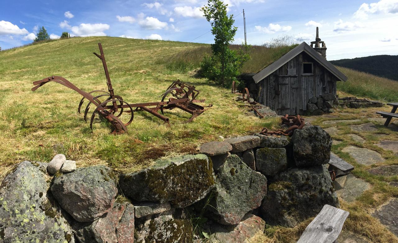 Hotell Eikerapen Gjestegard Aseral Fossdal Bagian luar foto